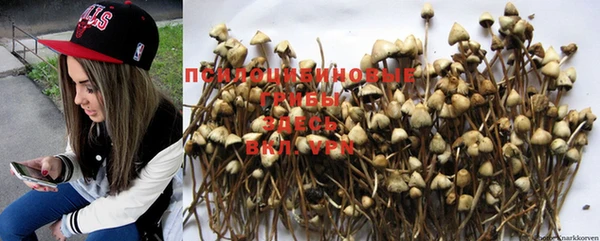 PSILOCYBIN Алексин