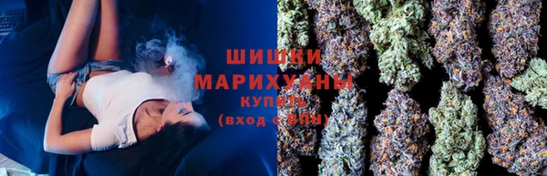 мдпв Новодвинск