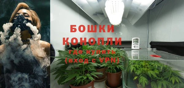 каннабис Новозыбков